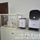 네오투메디 이미지