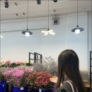 대전꽃도매 - 9753 | 대전꽃도매