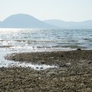 죽림해수욕장 이미지