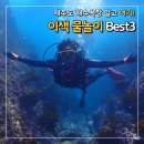 애월스쿠버 | 제주도 물놀이 해수욕장 말고 여기! 이색 수상 액티비티 BEST3