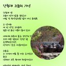그늘과 빛의 기억  이미지