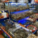 쌍둥이식품상회 이미지