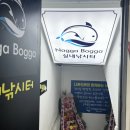 유일실내낚시터 이미지