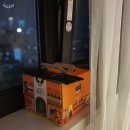 이루다호텔 앞 이미지