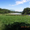 진호국제양궁장 문화체육센터 이미지