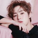 예쁜걸 Daum카페