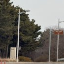 CU 서귀선반네점 | 인천 영종도 네스트호텔 수영장 스트란트 버블파티 조식 호캉스