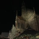 멍이올래 이미지