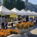 화산골작은도서관 이미지