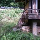 상주 용산정사 이미지