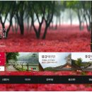 불갑사영농조합법인 이미지