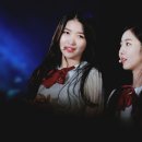 우정슈퍼 Daum카페