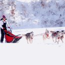 고아산방 이미지