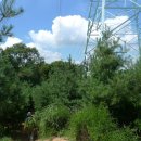 분당동 주민센터 이미지