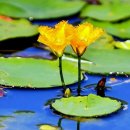 서정고등학교 이미지