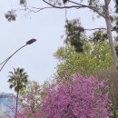 동부가든 이미지