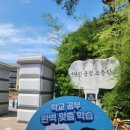 신탄진용정초등학교 이미지