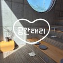 대전 공간태리 카페 주차 메뉴 후기