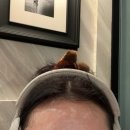 굿모닝카랜드 | 우당탕탕 11월 상하이여행 4박6일 ⭐️2탄⭐️ 미니소랜드 디즈니랜드 주토피아존