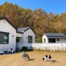 달이네집 이미지