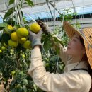 윤지농장 이미지