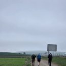사다24 | 순례길 산토도밍고 데 라 칼사다(Santo Domingo de la...Belorado) 24km 후기 | 스페인 순례길 코스...
