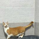 씨유 독산우시장점 | [주간일기] 12. 15. ~ 21. (나무/조금 많이 늦은 주간일기)