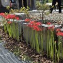 또와캠핑장 이미지