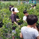 화순농장 이미지