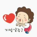 정들면