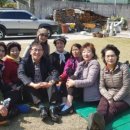 박차흠 Daum카페