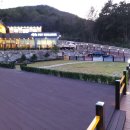 (주)펫노블레스 이미지