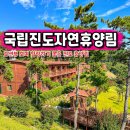 국내 힐링 여행 진도 국립진도자연휴양림 오션뷰 걷기좋은길 산책