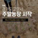 멱절길35번길 이미지