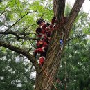 중랑소방서 이미지