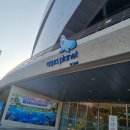 월드지디팜 | 주엽역 나들이 2 - 일산 아쿠아플라넷 사전 만들 기세로 샅샅이 살펴본 관람후기 (feat. 호구 안되는 법)