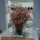 세븐일레븐 침산무지개점 | 대구케이크/침산동맛집/침산동카페 ::프렌치메이드 침산점