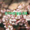 일산동구청 민원실 이미지