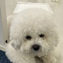 스튜디오성수 이미지
