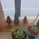 어우네공방