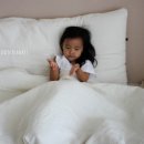 이불의류백화점 이미지