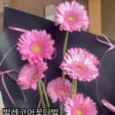 범스플라워샵
