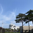 비비큐 완도 청산점 | [전라도]여유로운 봄맞이 청산도 여행🌼(완도에서 청산도 배편/서편제 주막)