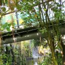 거제식물원 이미지