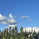 대봉목장 이미지