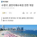 [부산일보]수영구, 광안리해수욕장 전면 개장.올해도 펭수가 기다린대여😍 이미지