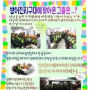 방어진지구대 이미지