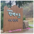 기북농장 | 포항 기북면 카페 애플리 편백미로체험장~