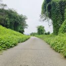 (주)여행나루