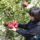 곡강농장 이미지